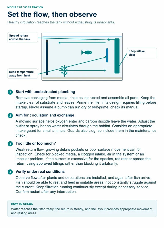 Guide page: Set the flow, then observe
